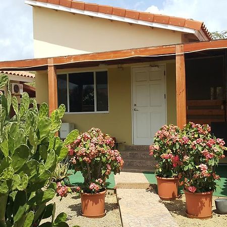 Bubali Studio Palm Beach Exterior photo